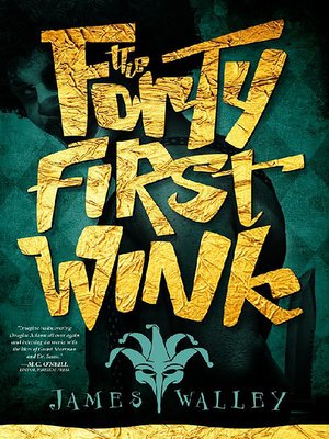 cover image of The Forty First Wink